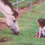 馬と子供