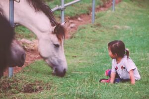 馬と子供