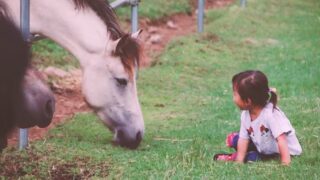 馬と子供