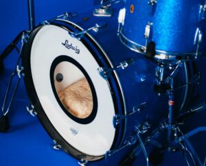 ベースドラム