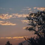 秋の夕方