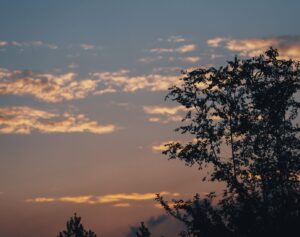 秋の夕方
