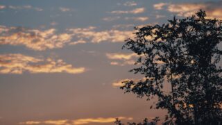 秋の夕方