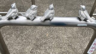 ピコリーノ